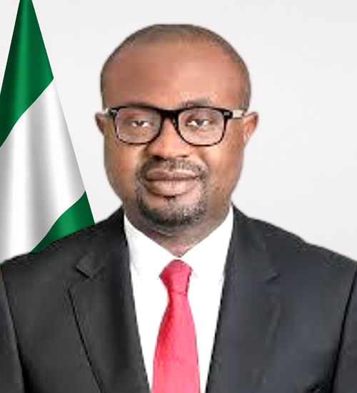 Hon. Olubunmi Tunji-Ojo